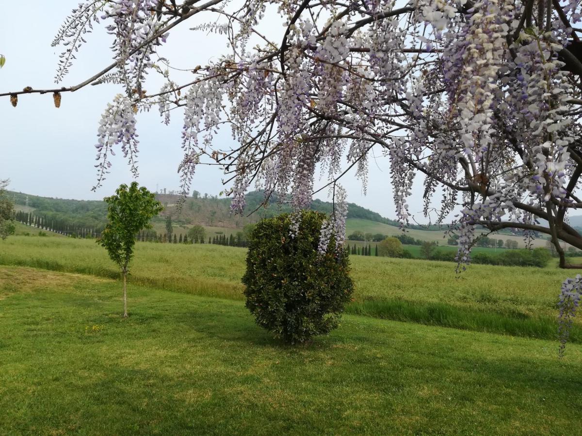 La Locanda Dell'Olmo Орвието Екстериор снимка