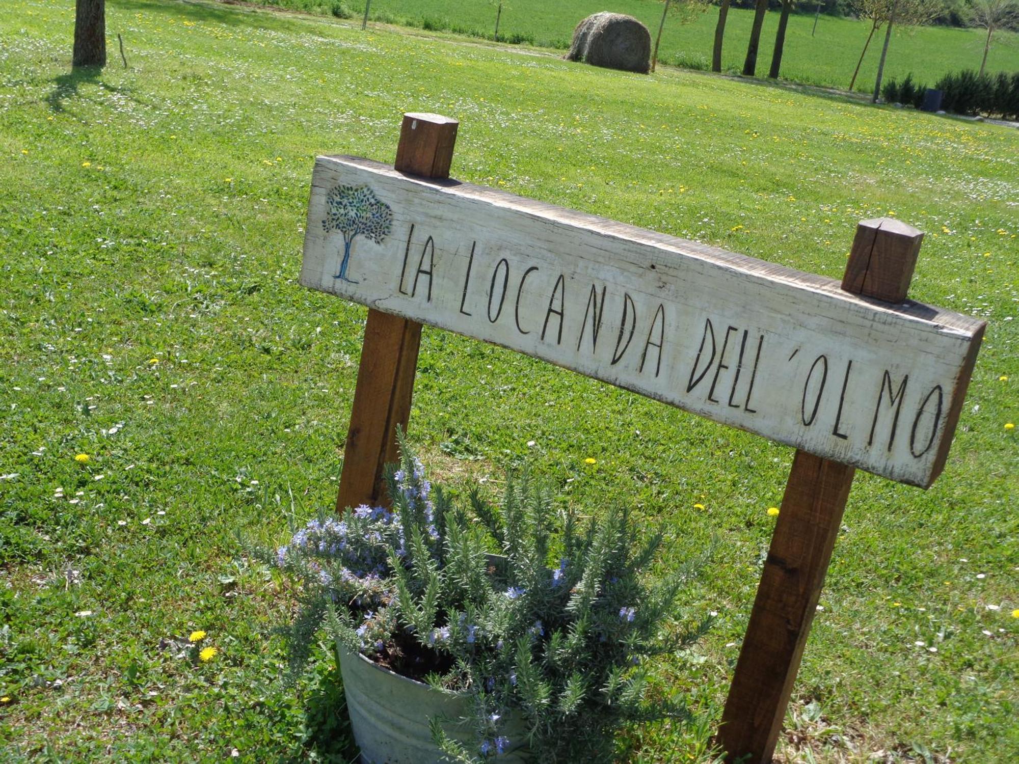 La Locanda Dell'Olmo Орвието Екстериор снимка